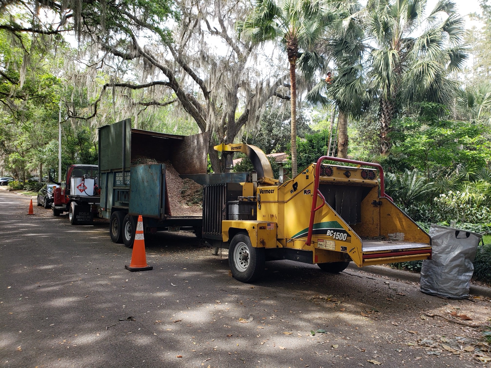 Wood chipper processing tree debris on site during a tree service job in Florida